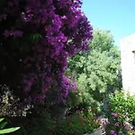 Eski Evleri داتْشا